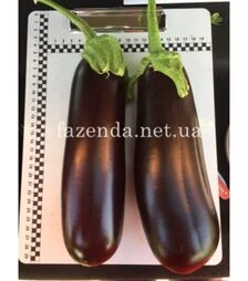 Семена баклажана Миринда F1, п.о. 1 тыс. семян (Spark Seeds)