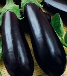 Семена баклажана Алмаз, п.о. 1 тыс. семян (Nasko)