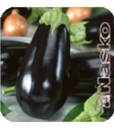 Семена баклажана Магнури F1, п.о. 250 семян (Nasko)