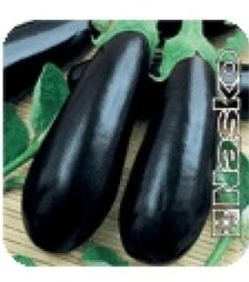 Семена баклажана Надир, 5 кг (Nasko)