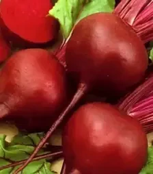 Семена свеклы Скарлет F1, п.е. 50 тыс. семян (Hazera)