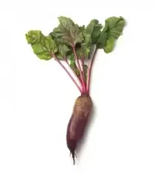 Семена свеклы Карилон, п.е. 25 тыс. семян, 2,75-3,5 калибр (Rijk Zwaan)