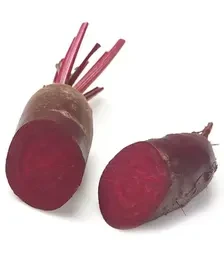 Семена свеклы Ломако, п.е. 100 тыс. семян, 3,5-4,25 калибр (Rijk Zwaan)