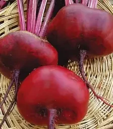 Насіння буряка Єгіпос, 500 г (Hortus)