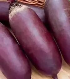 Насіння буряка Атаман, 500 г (Коуел)