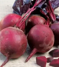 Семена свеклы Детройт ББ, 500 г (Bakker Brothers)