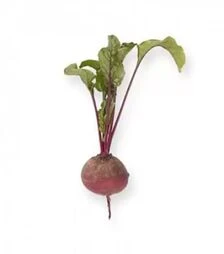 Насіння буряка Акелла, п.о. 100 тис. насінин (Rijk Zwaan)