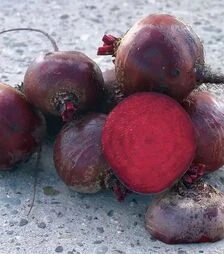 Насіння буряка Болтарді, п.о. 100 тис. насінин (Syngenta)