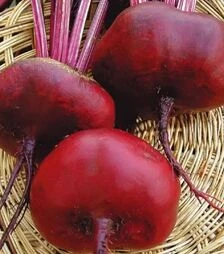 Насіння буряка Єгіпос, 5 кг (Hortus)