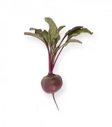 Семена свеклы Ларка, п.е. 500 тыс. семян (Rijk Zwaan)