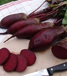 Семена свеклы Ренова, 500 г (Moravoseed)