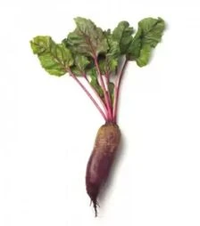 Семена свеклы Карилон, п.е. 100 тыс. семян (Rijk Zwaan)