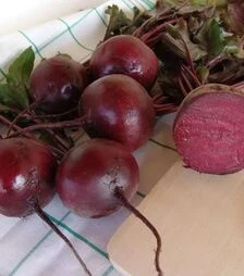 Семена свеклы Моника, 1 кг (Moravoseed)