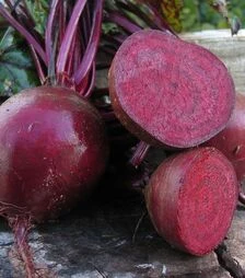 Семена свеклы Маноло F1, п.е. 50 тыс семян (Bejo)