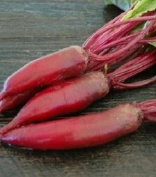 Семена свеклы Алексис, 10 кг (Moravoseed)