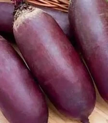 Насіння буряка Атаман, 10 кг (Коуел)