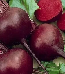 Семена свеклы Детройт Дарк Ред, 1 кг (United Genetics)