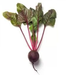 Семена свеклы Либеро, п.е. 25 тыс. семян, 2,75-3,5 калибр (Rijk Zwaan)