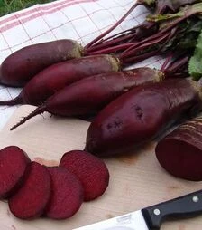 Семена свеклы Ренова, 10 кг (Moravoseed)