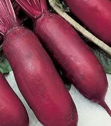 Семена свеклы Опольский, 500 г (Коуэлл)