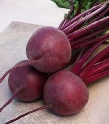 Семена свеклы Привилегия F1, п.е. 25 тыс. семян, 2,5-3,2 калибр (Cora Seeds)