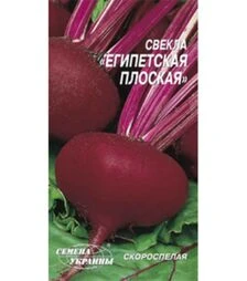 Насіння буряка Єгипетський плоский, 10 г (Насіння України)