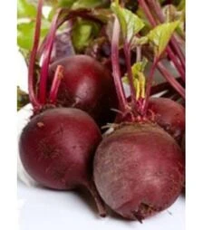 Насіння буряка Болівар, 500 г (Leda Seeds)