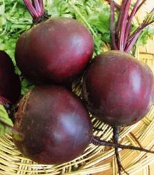 Насіння буряка Зепо F1, п.о. 25 тис. насінин, 2,75-3,50 калібр (Rijk Zwaan)