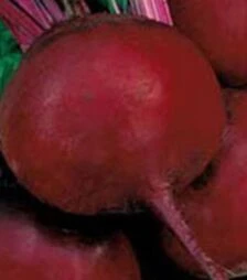 Семена свеклы Кадет, 100 г (Satimex)