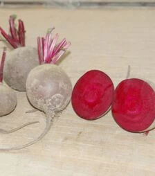 Семена свеклы Ред Сан F1, п.о. 50 тыс. семян (United Genetics)