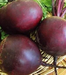 Семена свеклы Родена F1, п.о. 5 тыс. семян (Sakata)