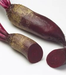 Семена свеклы Фороно F1, п.о. 50 тыс. семян (Agri Saaten)