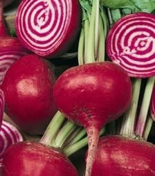 Семена свеклы Чиогиа Гардсмарк, п.о. 1 тыс. семян (Sakata)