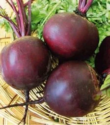 Семена свеклы Эридан, п.о. 1 тыс. семян (Nasko)