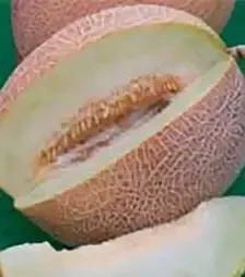 Семена дыни Ананас, 500 г (Hortus)