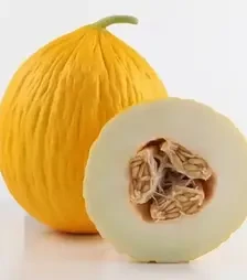 Семена дыни Эгназио F1, п.е. 250 семян (Enza Zaden)