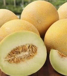 Семена дыни Галанет F1, п.е. 1 тыс. семян (United Genetiks)