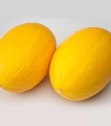 Семена дыни Амбарино F1, п.е. 500 семян (Enza Zaden)