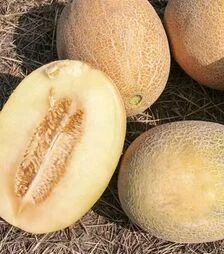 Семена дыни Анамакс F1, п.е. 1 тыс. семян (United Genetiks)