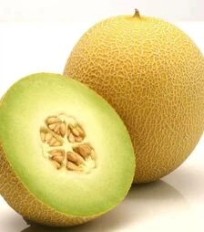 Насіння дині Джукар F1, п.о. 1 тис. насінин (Rijk Zwaan)