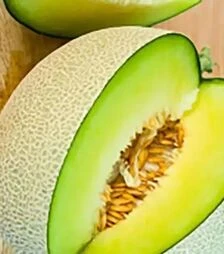 Насіння дині Карибіан Кінг F1, п.о. 1 тис. насінин (Rijk Zwaan)