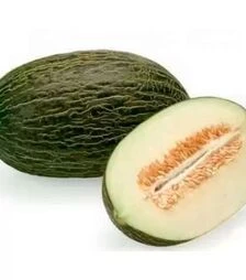Насіння дині Месура F1, п.о. 100 насінин (Rijk Zwaan)