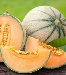 Семена дыни Портенто F1, п.е. 1 тыс. семян (United Genetiks)