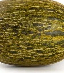 Насіння дині Фінура F1, п.о. 100 насінин (Rijk Zwaan)