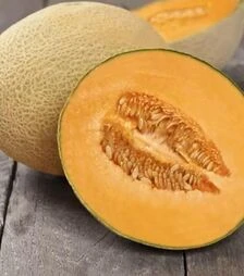 Семена дыни Флоренция F1, п.е. 1 тыс. семян (United Genetics)