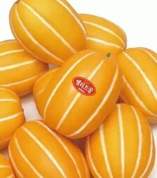 Семена дыни Жемчужина F1, п.е. 500 семян (Asia Seed)