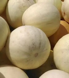 Насіння дині Медова роса, 500 г (Hortus)