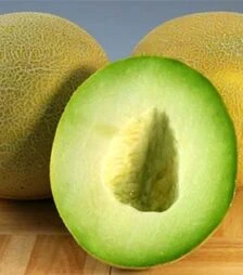 Насіння дині Паспорт F1, п.о. 1 тис. насінин (Hollar Seeds)