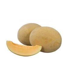 Насіння дині Робаст F1, п.о. 1 тис. насінин (Hollar Seeds)