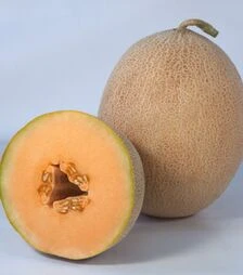 Насіння дині Трібека F1 (КС 6147 F1), п.о. 1 тис. насінин (Kitano Seeds)